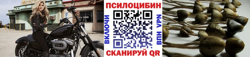 Псилоцибиновые грибы MAGIC MUSHROOMS  Перевоз 